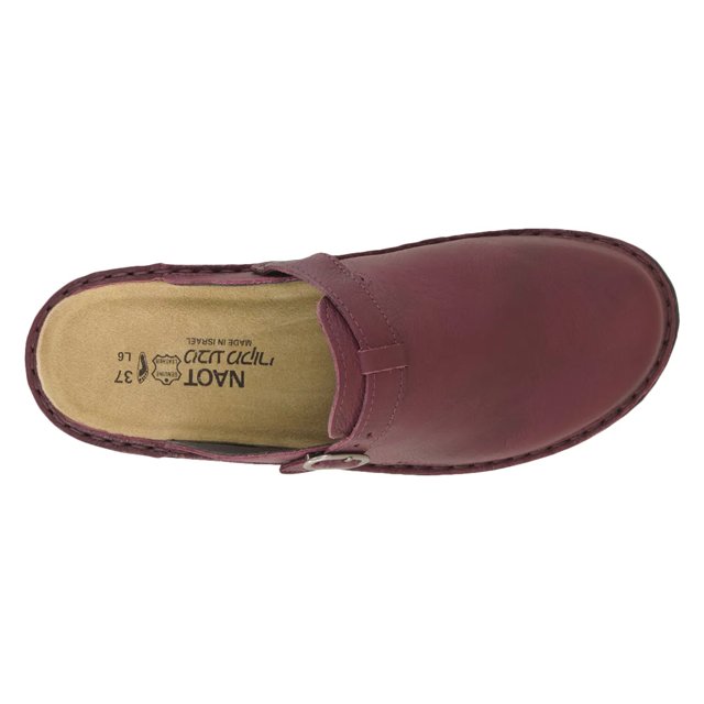 Women's Aster Clog