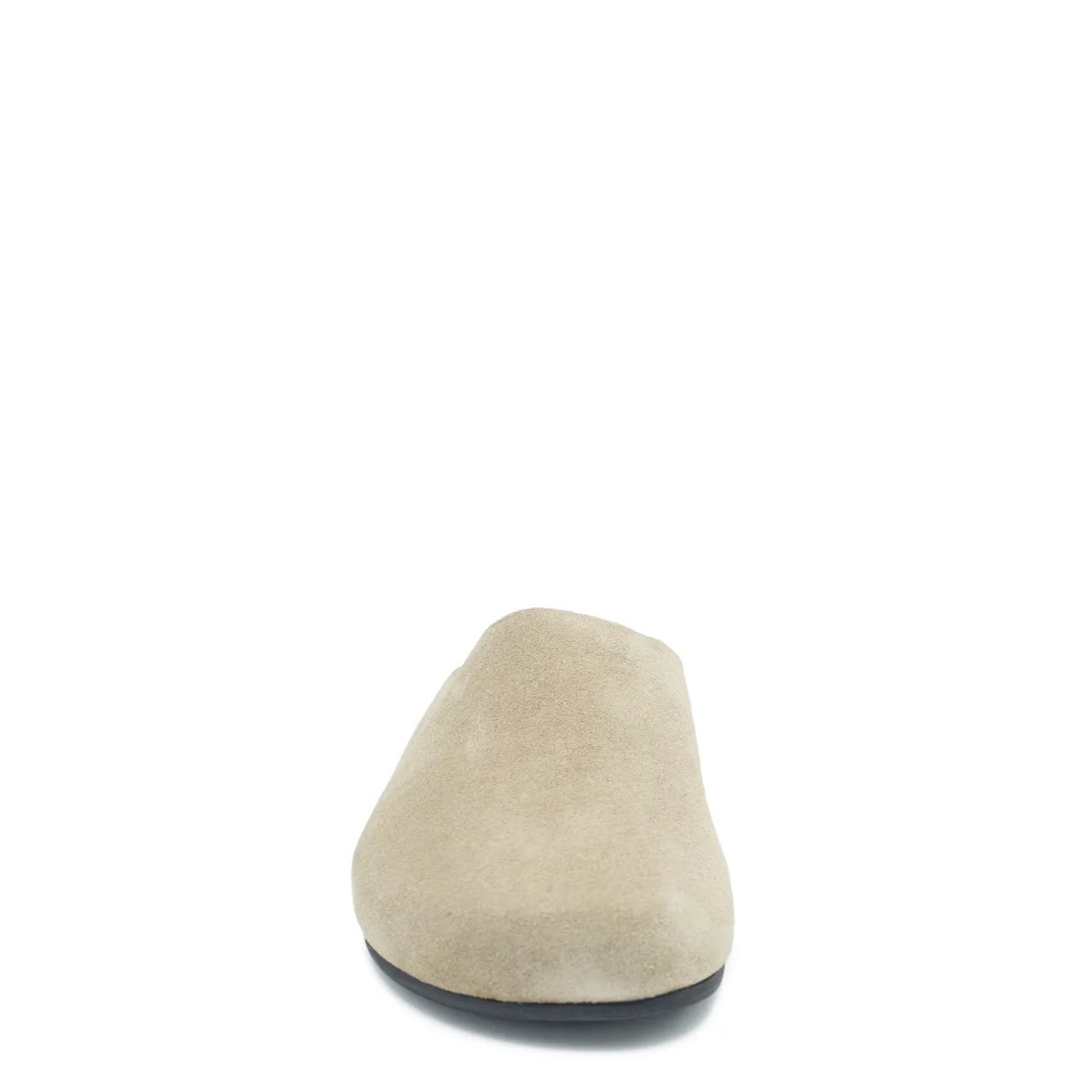 Women's Fern Clog Suede