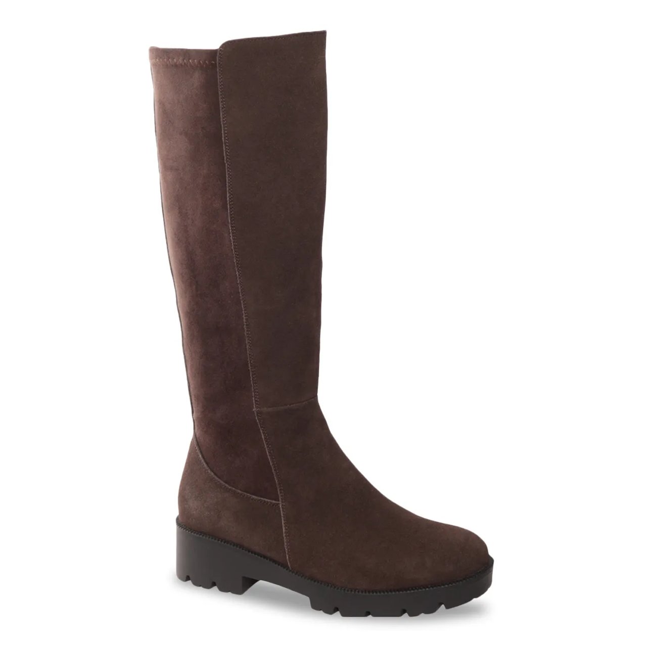Women's Brook Waterproof Tall Boot
