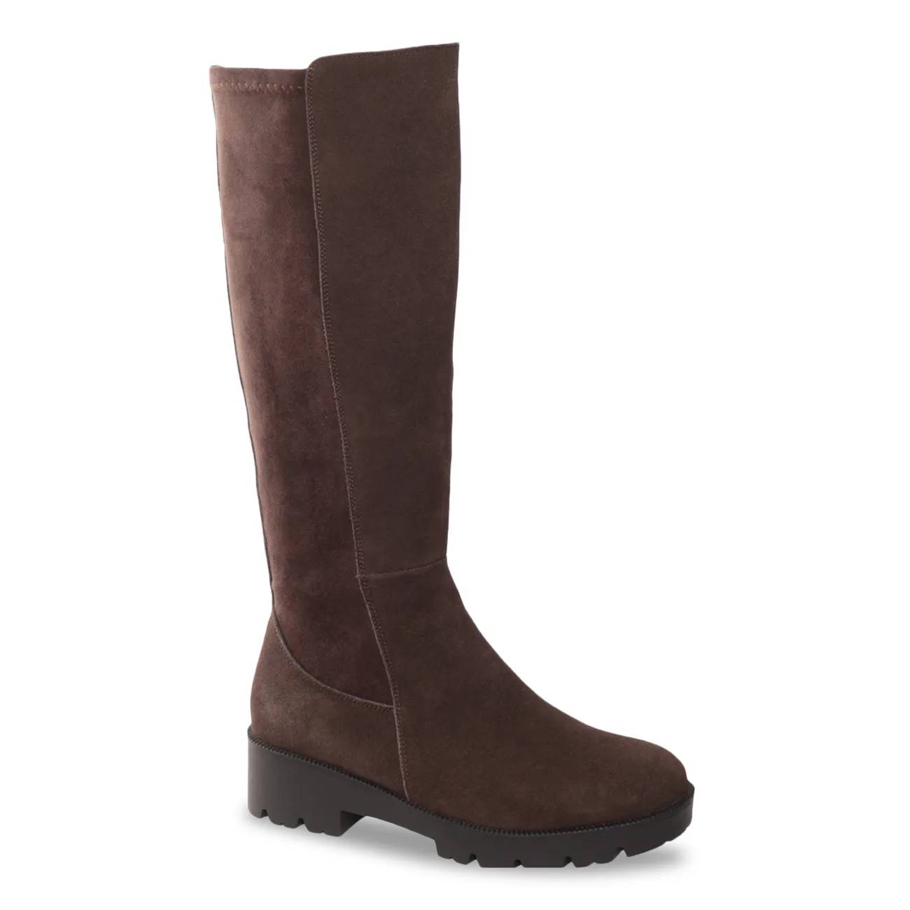 Women's Brook Waterproof Tall Boot