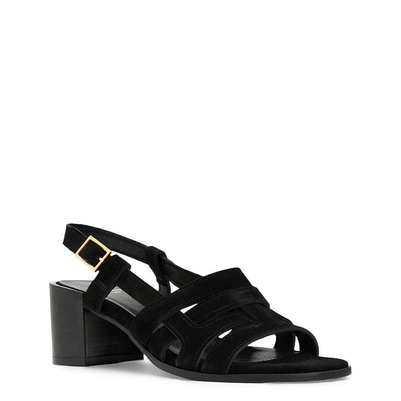 Women's Dimaro Sandal