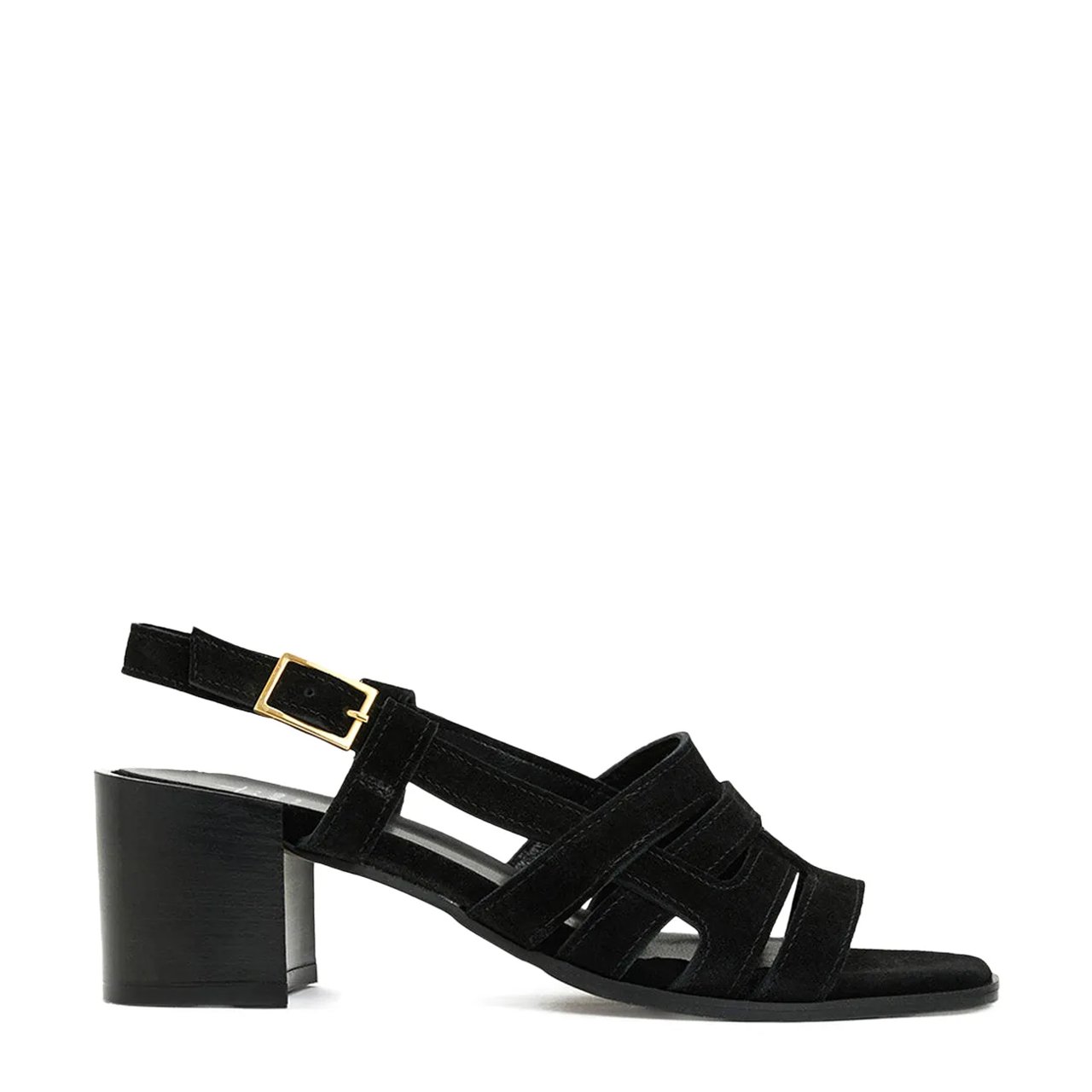 Women's Dimaro Sandal