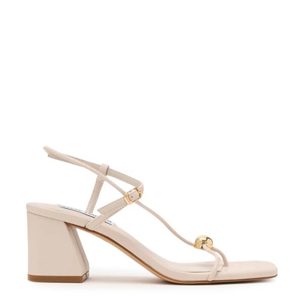 Steve Madden Womens' Ariaa Sandal