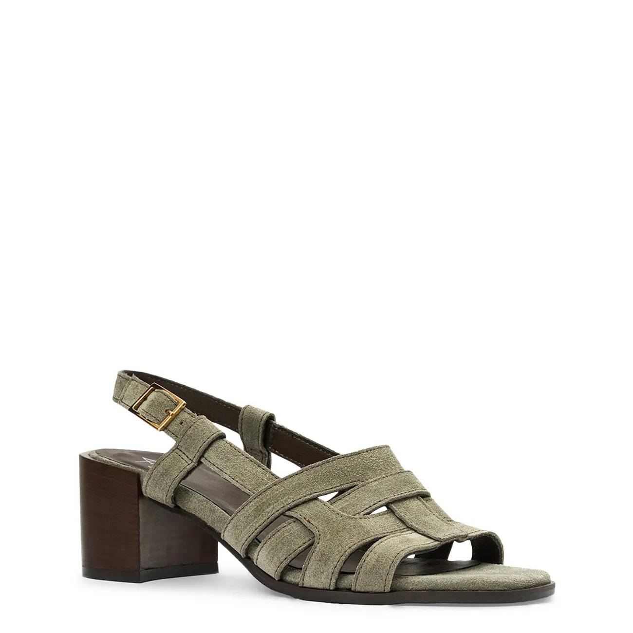 Aquatalia Women's Dimaro Sandal