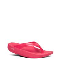 Women's Oolala Flip Flop NEON BERRY view