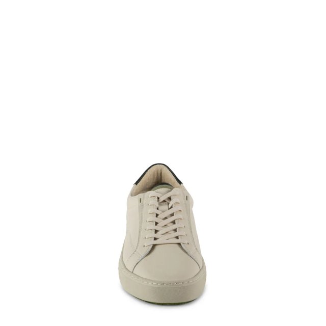 Xavvier Sneaker