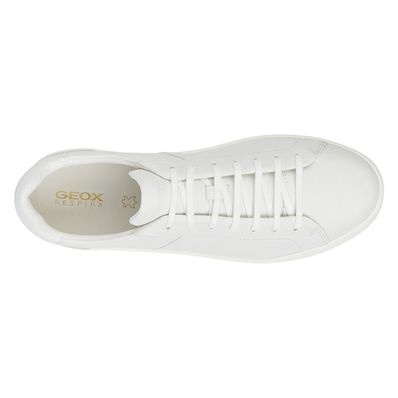 Men's Regio Cupsole Sneaker