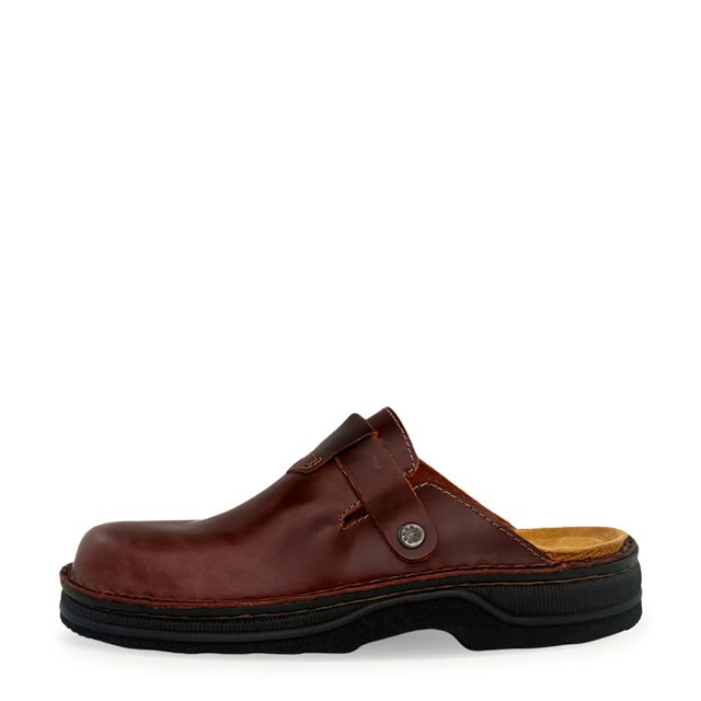 Men's Fjord Clog