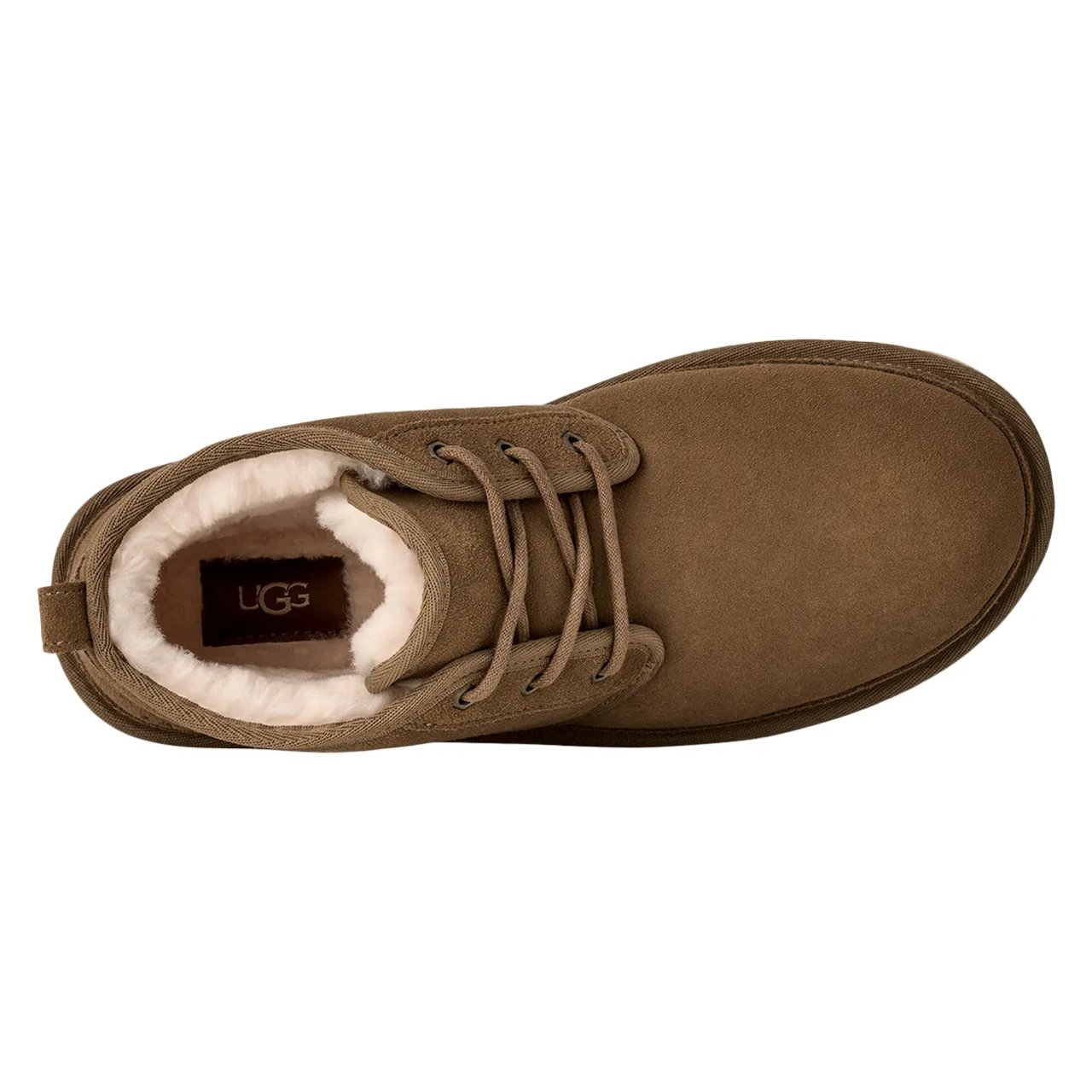 Men's Chukka Boot