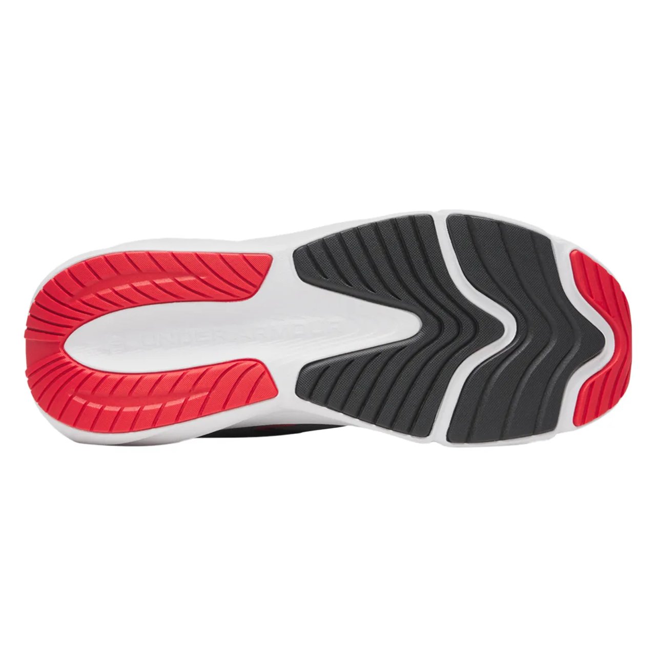 Mens' Charged Surge 5 Running Shoe