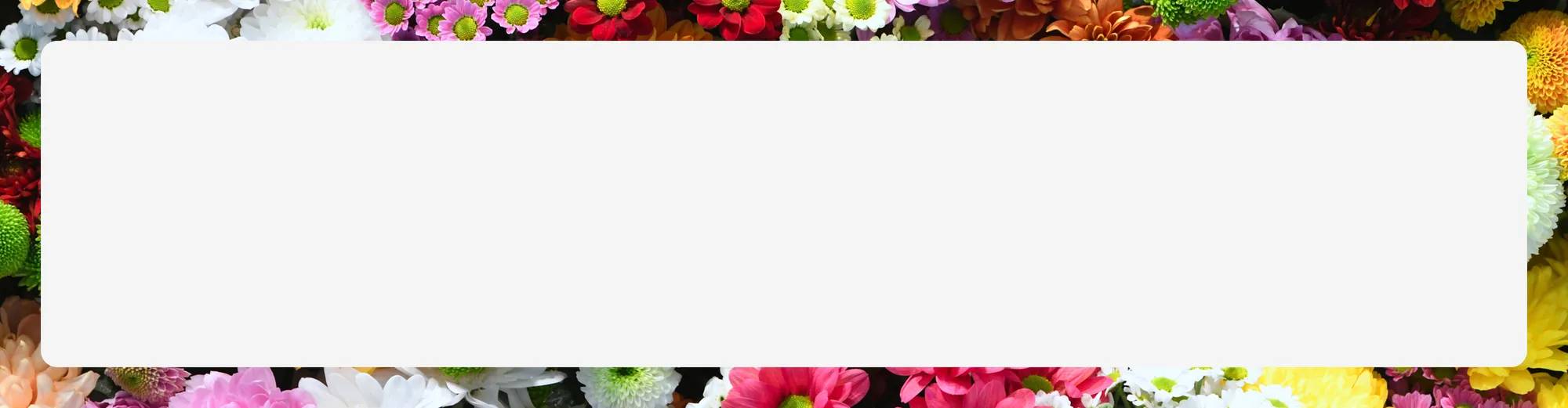 Your Vote Has Been Cast! Thanks for helping us choose our next Keds.com exclusive. We'll announce the winner on June 23.