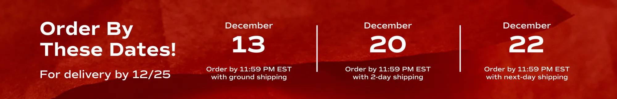 A red box with white text says, Order by these dates for delivery by December 25th. Order by December 13th 11:59 PM EST with ground shipping. Order by December 20th 11:59 PM EST with 2-day shipping. Order by December 22nd 11:59 PM EST with next-day shipping.