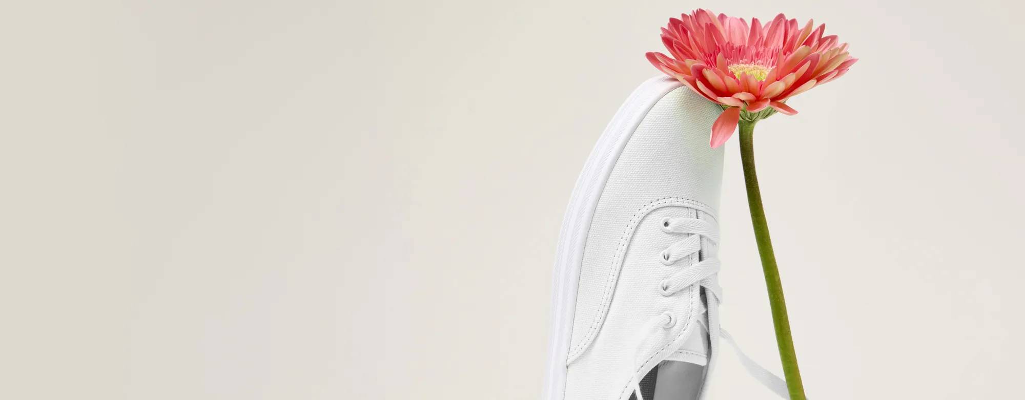 A single Original Keds Champion Canvas Lace-Up in white positioned balancing upright on its heel with a long-stemmed orange-pink gerbera daisy leaning against it. The sneaker’s shoelace is wrapped around the bottom of the flower’s stem. Text above says 25% Off Almost Everything! Even Original Keds Champion. Use code SPRING25. Exclusions apply. Shop Now.