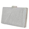 Nola Evening Clutch SILVER view