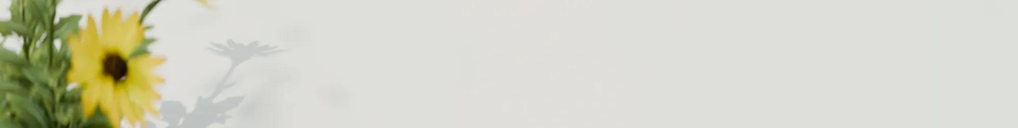 Sunflowers with shadows in the background. The text says Limited-Time Offer! Enjoy 25% Off. Use code: SHOWERS Select styles only. See details. Shop Now.