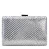 Frances Clutch SILVER view