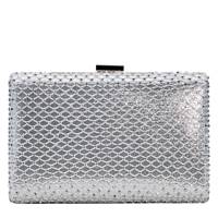 Frances Clutch SILVER view
