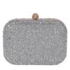 Women's Celest Clutch SILVER view