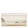 Chantel Evening Clutch Bag Champagne view