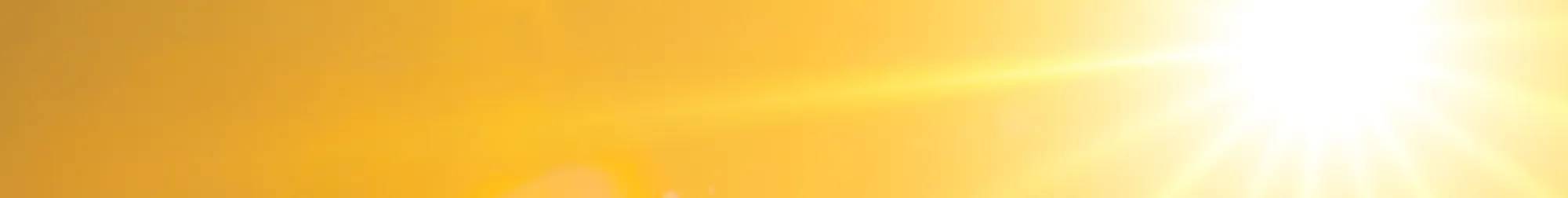 A yellow background with bright sunshine.