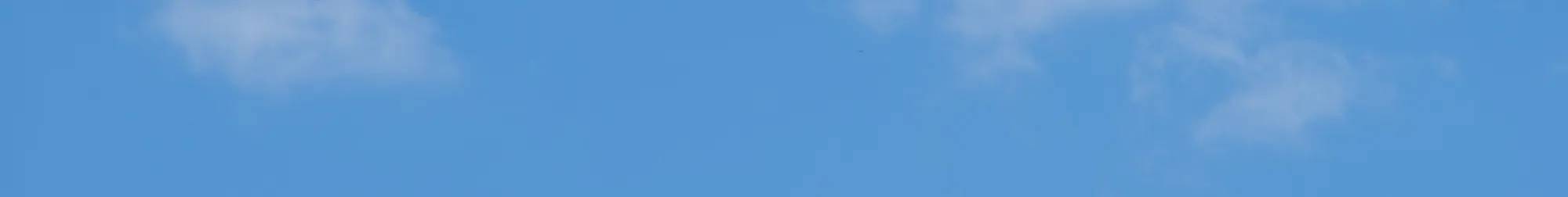 A blue sky background.
