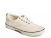 Halyard CVO Sneaker White view