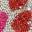 Sidny Platform Sneaker Red/Pink view