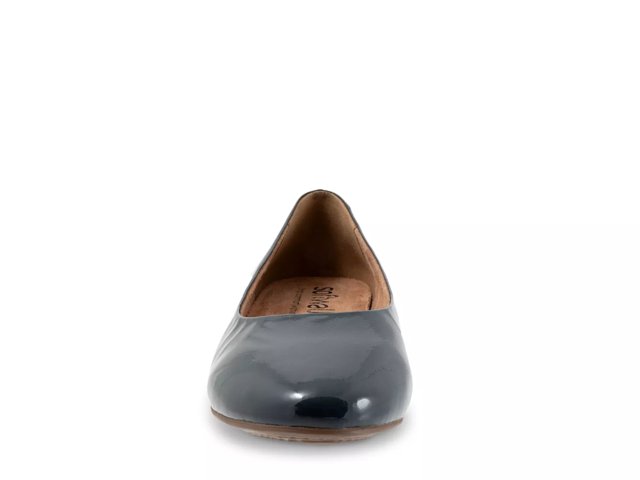 Shiraz Ballet Flat