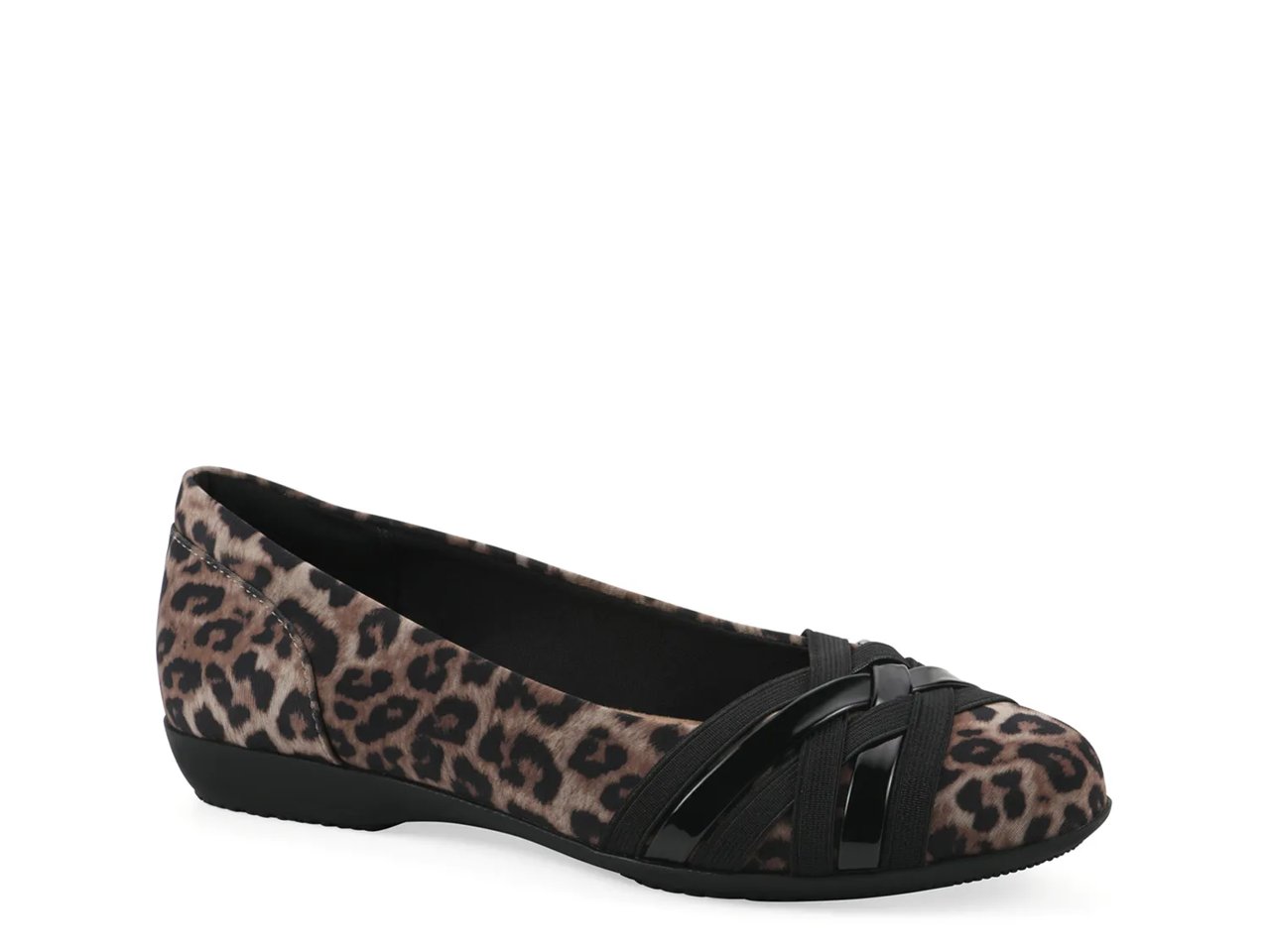 Chic Ballet Flat