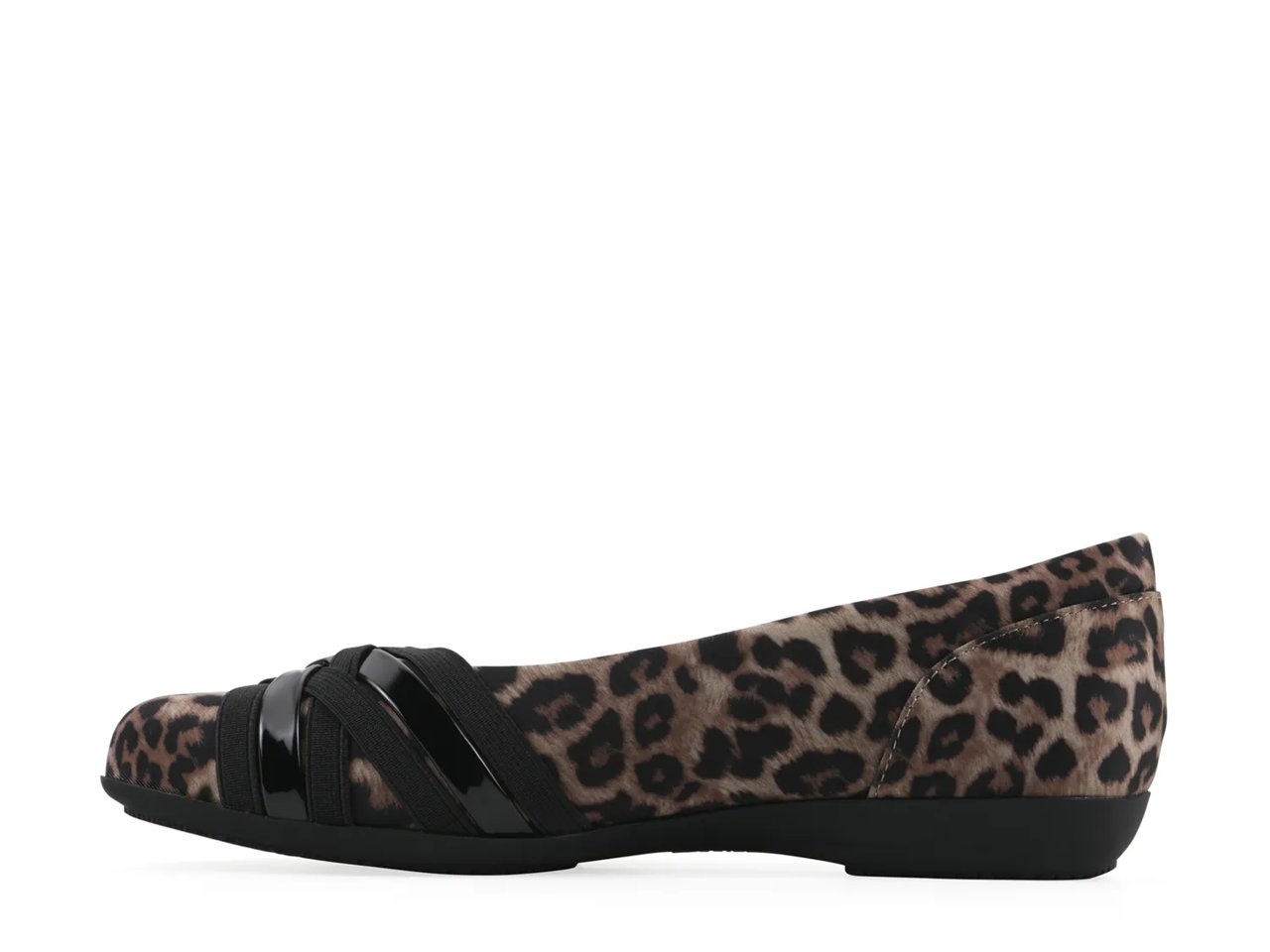 Chic Ballet Flat