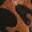 Ginger Pump Brown Cheetah Print Patent Synthetic view