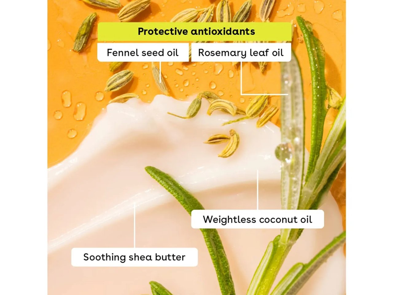 Classic Lip Balm Set - 4 Pack