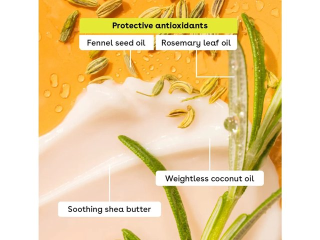 Classic Lip Balm Set - 4 Pack