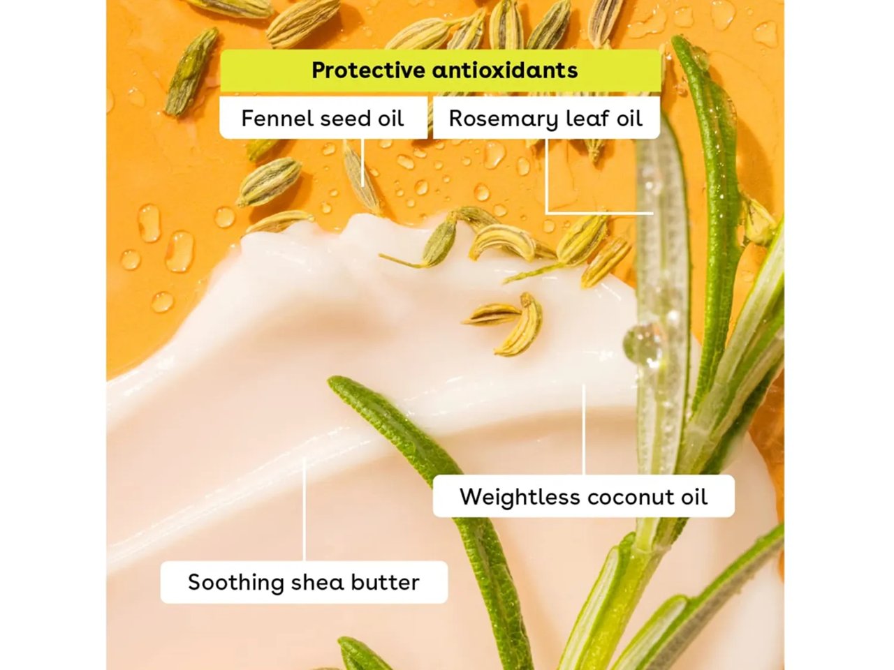 Tropical Lip Balm Set - 4 Pack