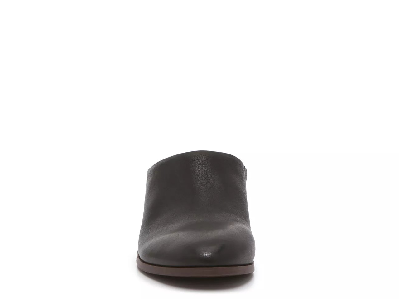 Paloma Mule