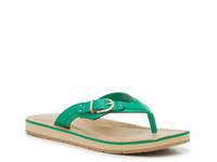 Briar Sandal Palm Green view