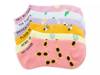 Country Club No Show Socks - 6 Pack Lavender/Yellow/Multicolor view