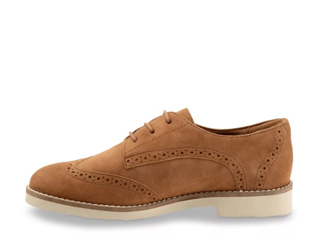 Willet Oxford