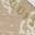 Camrio Platform Sneaker White/Beige view