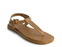 Tucson Sandal Taupe view