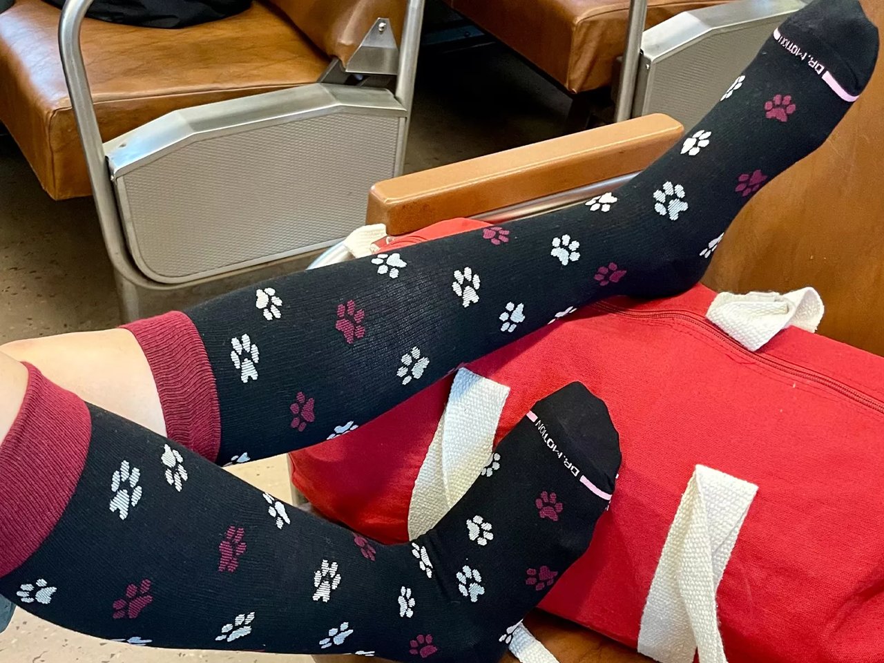 Paw Print Women's Compression Knee Socks