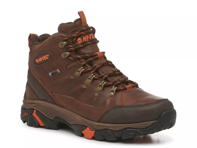 Acadia Hiking Shoe - Men's