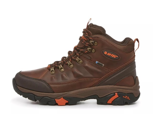 Acadia Hiking Shoe - Men's