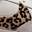 Waffle Debut Running Shoe - Women's Beige Leopard Print view
