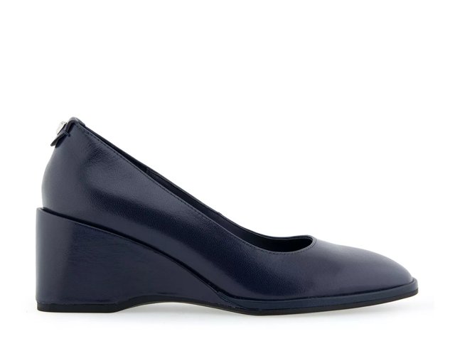 Aurora Wedge Pump