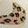 Court Vision Low Next Nature Sneaker - Women's Beige Leopard Print view