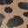 Brooklyn Low Low Wedge Sandal - Women's Sand Leopard Print view