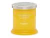 Limoncello Cupcake 8-oz. 1-Wick Candle Multicolor view