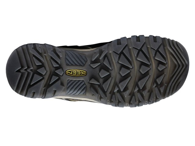 Targhee IV Waterproof Hiking Shoe - Men's