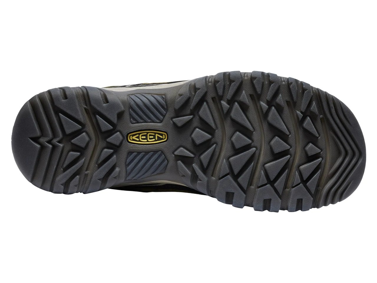 Targhee IV Waterproof Hiking Shoe - Men's